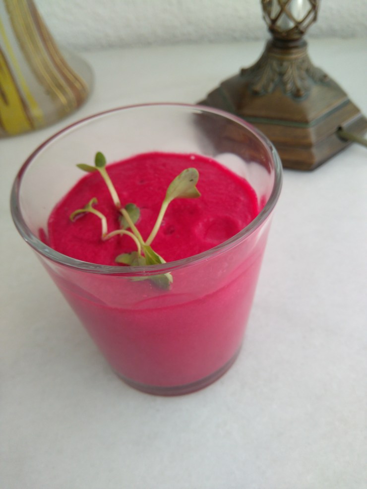 GAZPACHO REMOLACHA_POQUITO A POQUITO_CANCER2