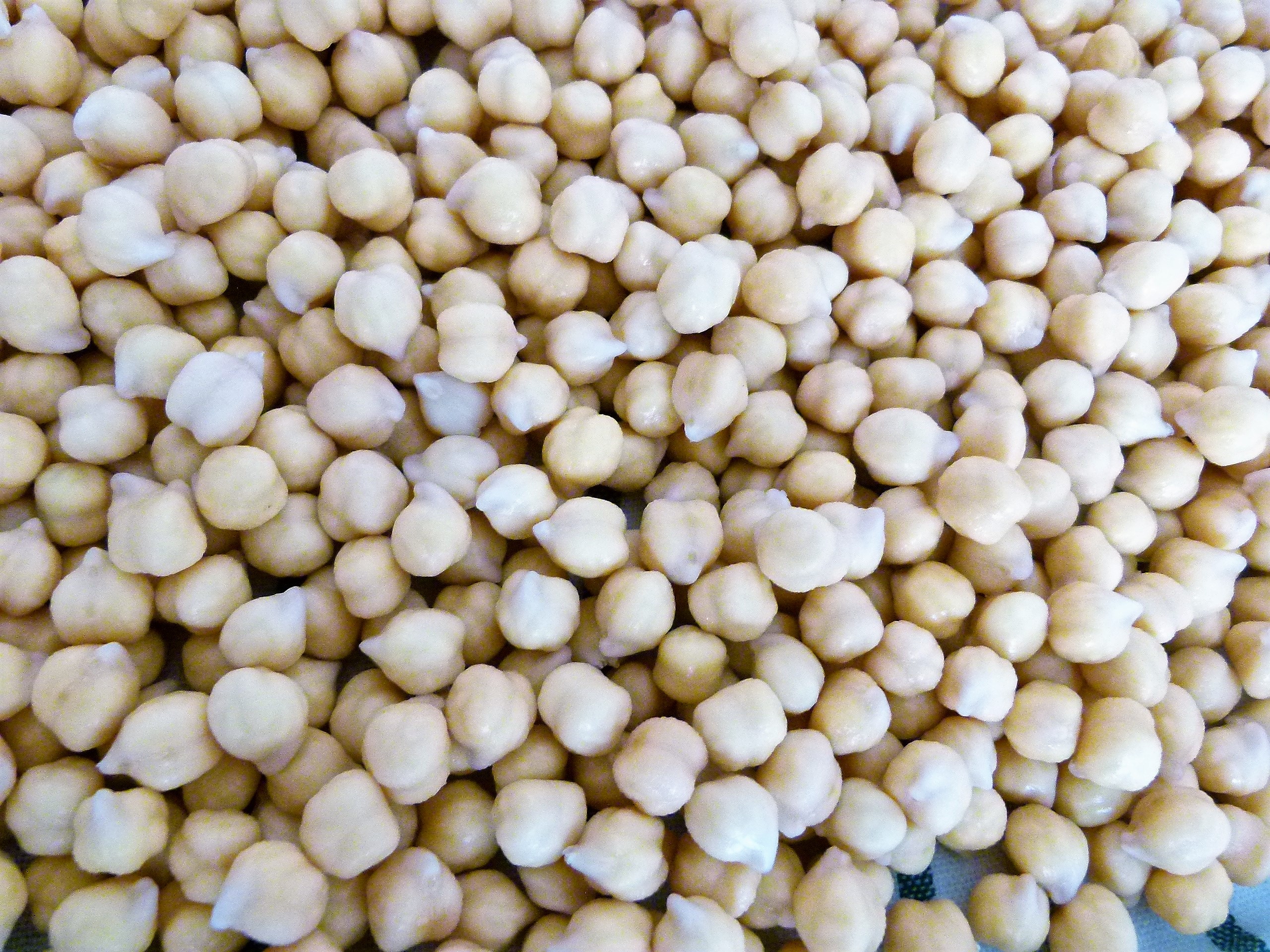 GERMINADOS_POQUITO A POQUITO_CANCER4