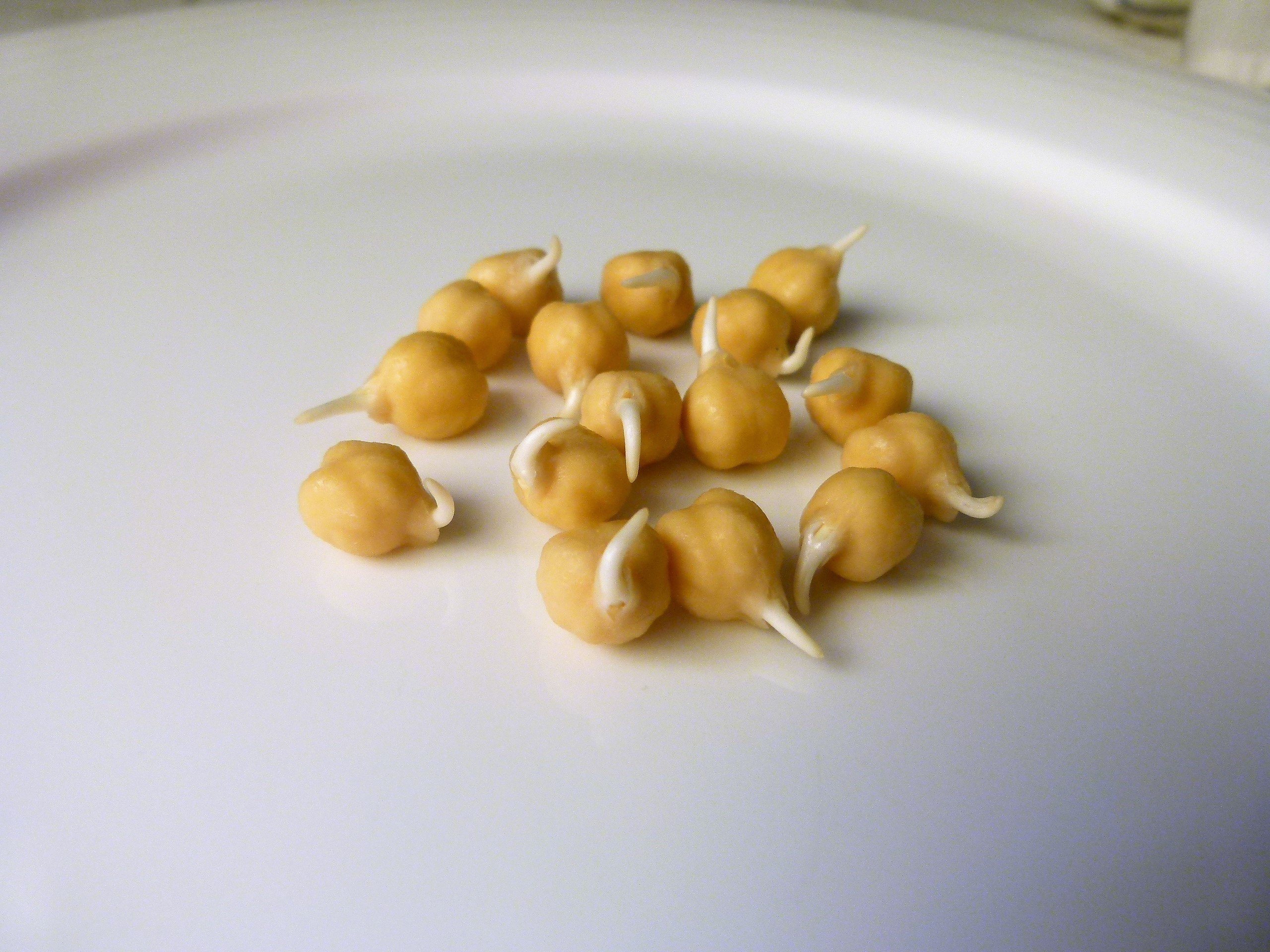 GERMINADOS_POQUITO A POQUITO_CANCER6