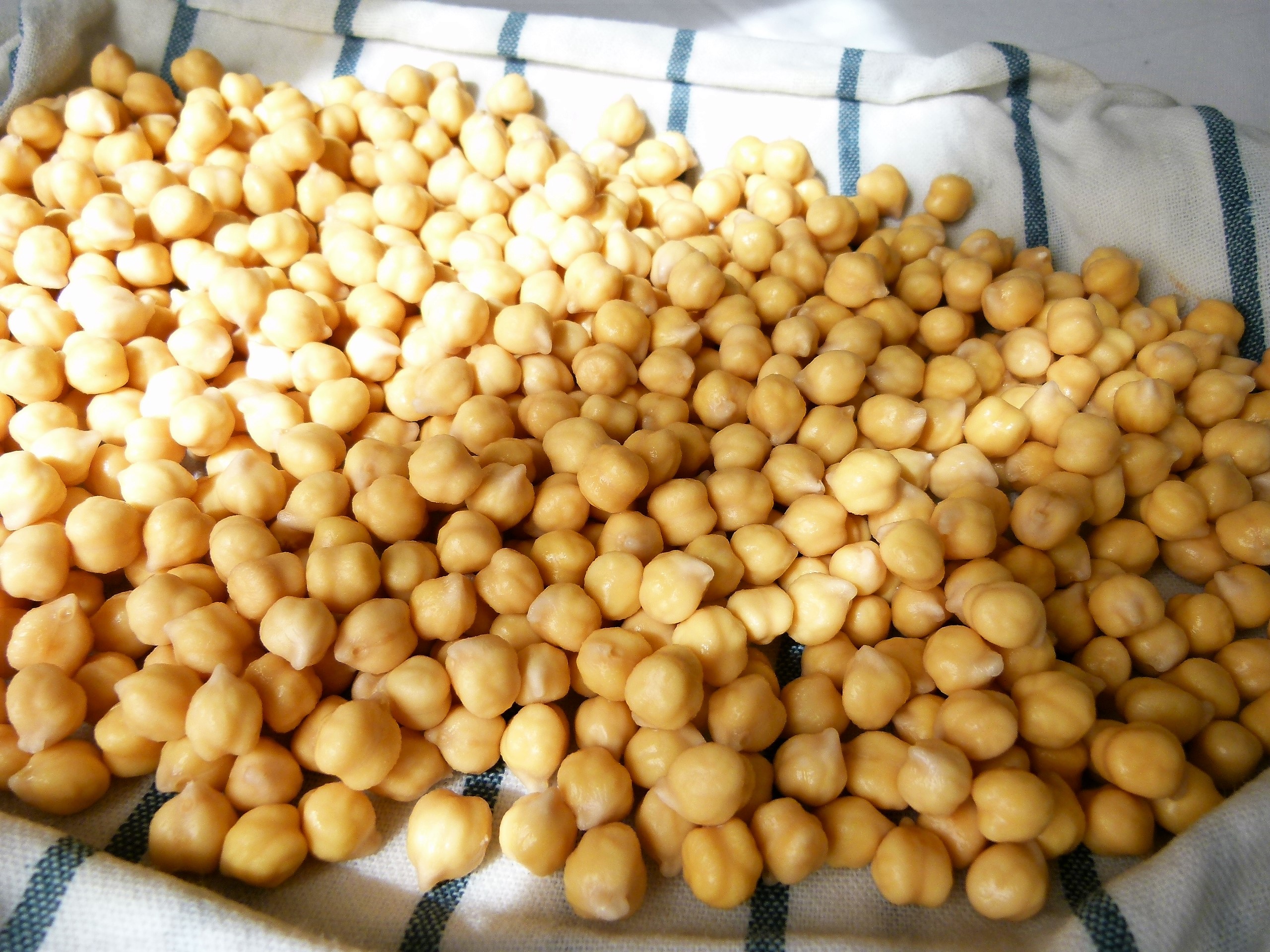 GERMINADOS_POQUITO A POQUITO_CANCER7